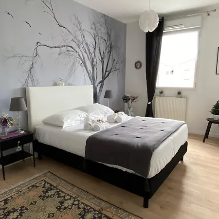 L'aragon - Wifi - Balcon Vue La Maine Lägenhet Angers