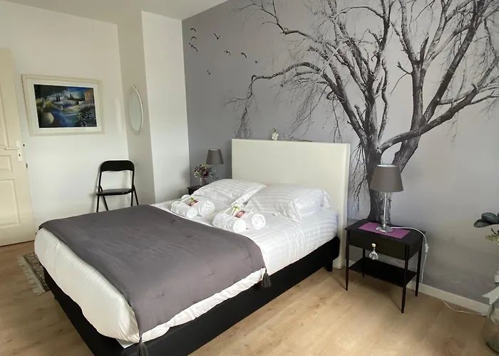 L'aragon - Wifi - Balcon Vue La Maine Angers